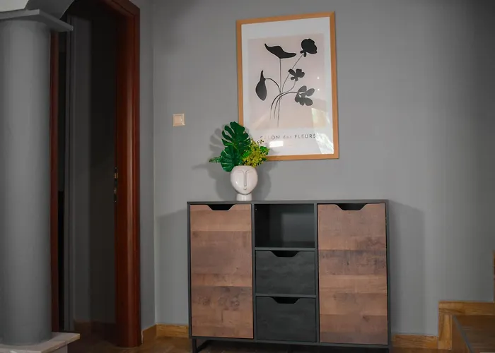 Apartament Teo Luxury